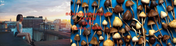 ешки Абдулино
