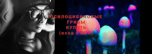 дурь Абаза