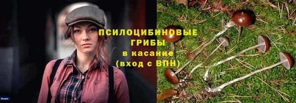 ешки Абдулино