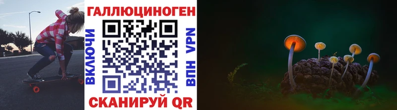 Псилоцибиновые грибы Cubensis  как найти закладки  Чекалин 